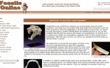 Fossils With Special Logo Design